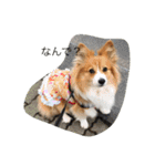 ひめっちだよん（個別スタンプ：7）