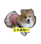 ひめっちだよん（個別スタンプ：10）