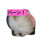 ひめっちだよん（個別スタンプ：13）