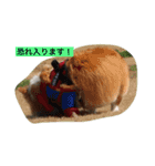 ひめっちだよん（個別スタンプ：14）