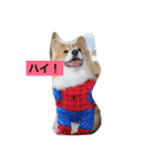 ひめっちだよん（個別スタンプ：15）