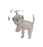 犬のせんぱい3 ボーダーテリア（個別スタンプ：2）