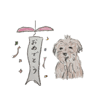 犬のせんぱい3 ボーダーテリア（個別スタンプ：7）