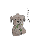 犬のせんぱい3 ボーダーテリア（個別スタンプ：8）