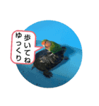 ぼくは、そうちゃん家族編（個別スタンプ：2）