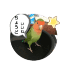 ぼくは、そうちゃん家族編（個別スタンプ：13）