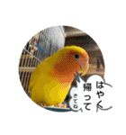 ぼくは、そうちゃん家族編（個別スタンプ：14）