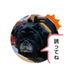 ぼくは、そうちゃん家族編（個別スタンプ：15）