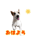 こはると一緒（個別スタンプ：1）