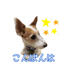 こはると一緒（個別スタンプ：2）