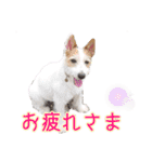 こはると一緒（個別スタンプ：3）