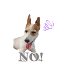 こはると一緒（個別スタンプ：6）