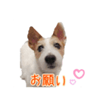 こはると一緒（個別スタンプ：7）