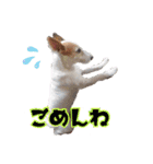 こはると一緒（個別スタンプ：8）