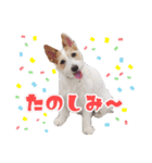 こはると一緒（個別スタンプ：11）