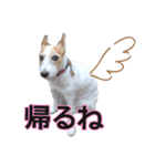 こはると一緒（個別スタンプ：12）