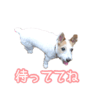 こはると一緒（個別スタンプ：13）