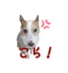 こはると一緒（個別スタンプ：14）