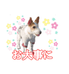 こはると一緒（個別スタンプ：15）