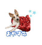 こはると一緒（個別スタンプ：16）