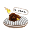 愛犬トイプードルのスローディズ・3（個別スタンプ：8）