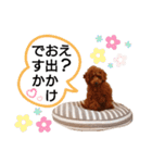 愛犬トイプードルのスローディズ・3（個別スタンプ：21）