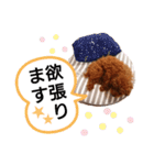 愛犬トイプードルのスローディズ・3（個別スタンプ：26）