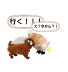 愛犬トイプードルのスローディズ・3（個別スタンプ：27）