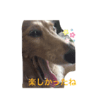 デブちゅあdaxまろんデス（個別スタンプ：8）