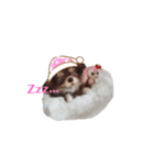 ワンワンだ・ワン②（個別スタンプ：1）