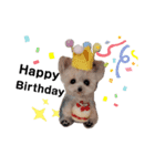ワンワンだ・ワン②（個別スタンプ：2）