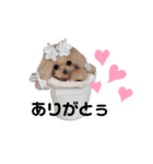 ワンワンだ・ワン②（個別スタンプ：10）