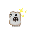ワンワンだ・ワン②（個別スタンプ：21）
