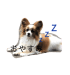 サンビビ（個別スタンプ：2）