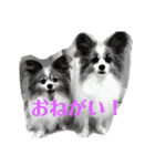 サンビビ（個別スタンプ：6）