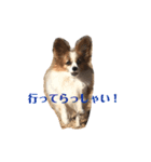 サンビビ（個別スタンプ：16）