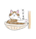 イデタカコの猫スタンプ（個別スタンプ：26）