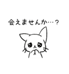 しろいねこ【日常】【敬語】（個別スタンプ：13）