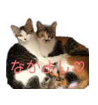 なつめ＆はつね（個別スタンプ：2）