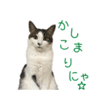 なつめ＆はつね（個別スタンプ：3）