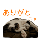 なつめ＆はつね（個別スタンプ：7）