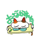 合耳猫〜保育士資格試験めざせ合格！〜（個別スタンプ：17）