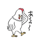 にわとりのアヤムさん（個別スタンプ：11）