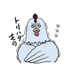 にわとりのアヤムさん（個別スタンプ：14）