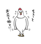 にわとりのアヤムさん（個別スタンプ：35）