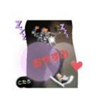 こたのすんたぷ（個別スタンプ：5）