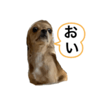 りゅうくんのスタンプに（個別スタンプ：4）