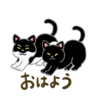 ネコのヤマトとオレオ（個別スタンプ：1）