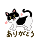ネコのヤマトとオレオ（個別スタンプ：4）