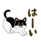 ネコのヤマトとオレオ（個別スタンプ：10）